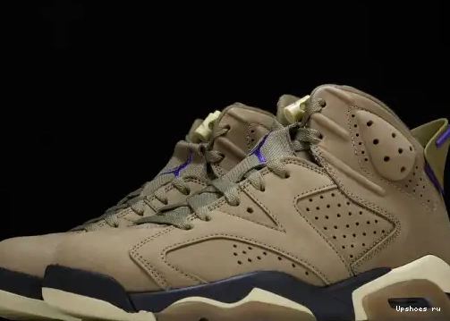FD1643-300 6 Kelp Retro Jordan  Gore-Tex Brown FD1643-300 0517